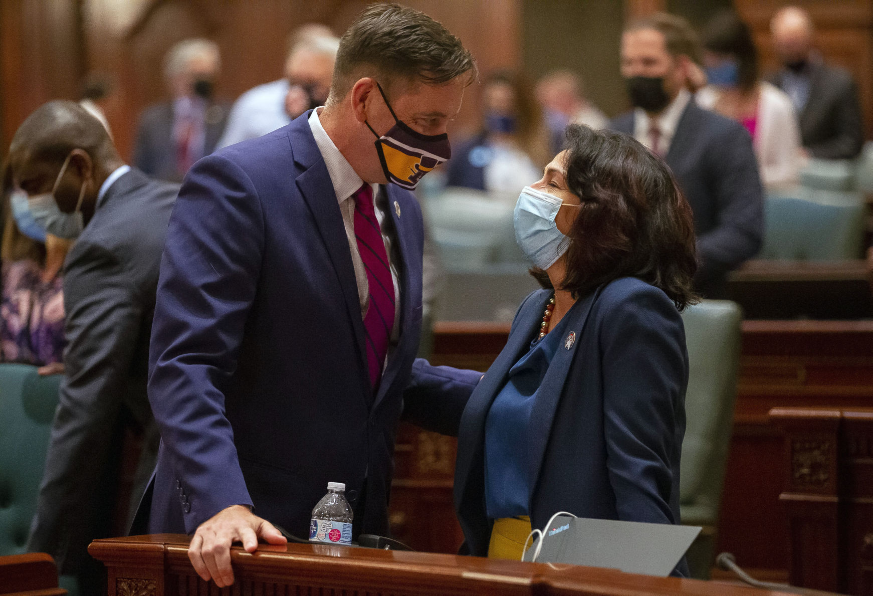 Illinois Legislative Redistricting